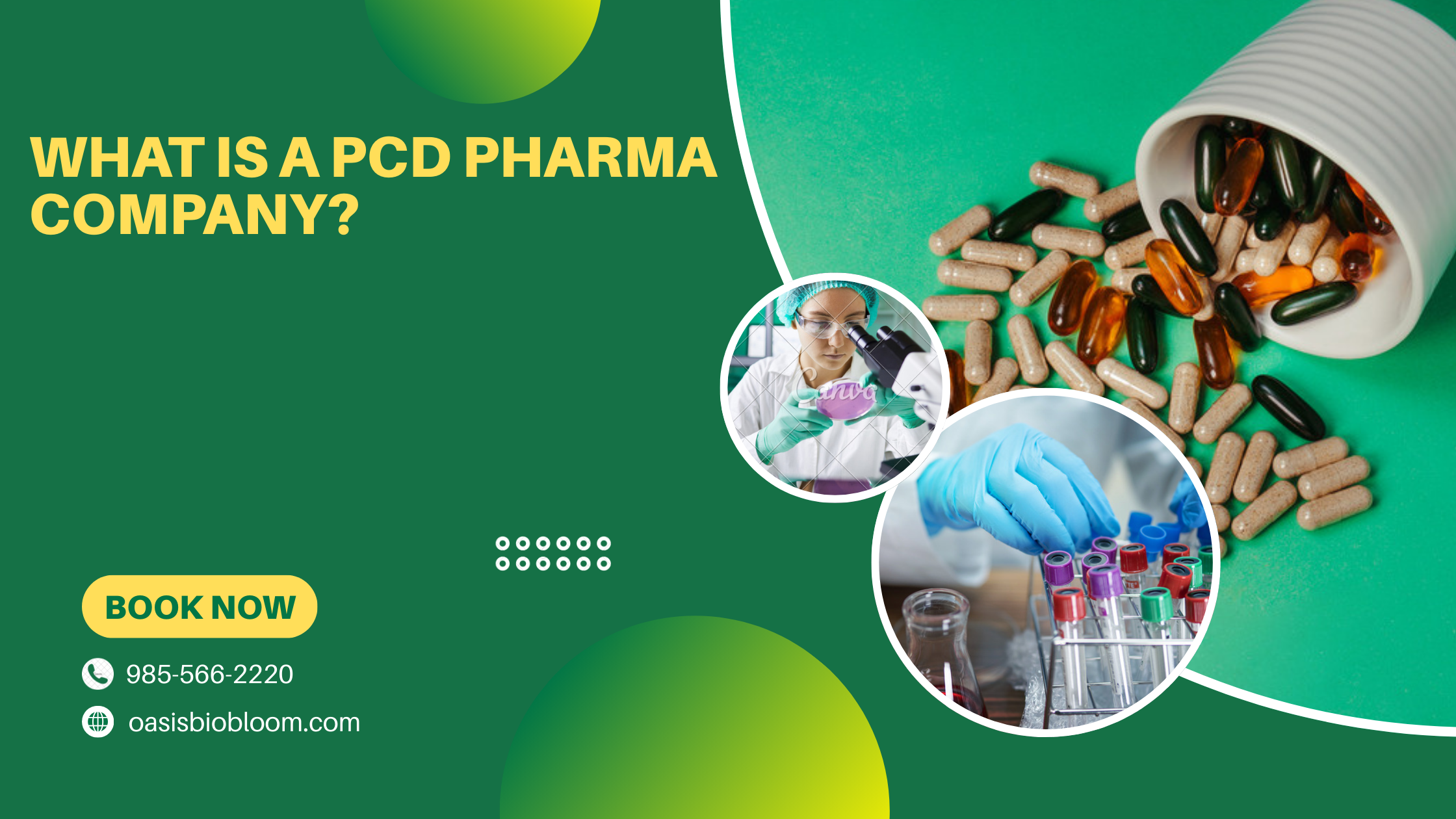 PCD Pharma Company in India
