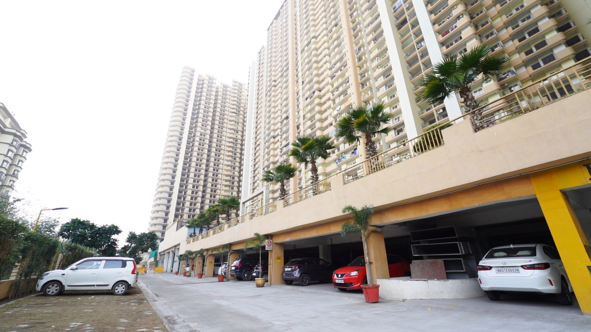 Saya Gold Avenue