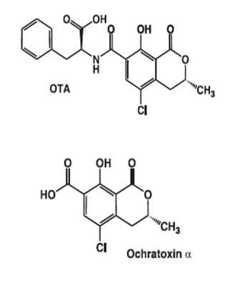 A chemical formula of a molecule  AI-generated content may be incorrect.