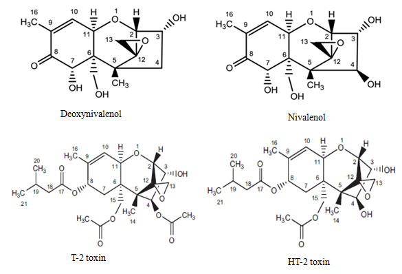 A group of chemical formulas  AI-generated content may be incorrect.