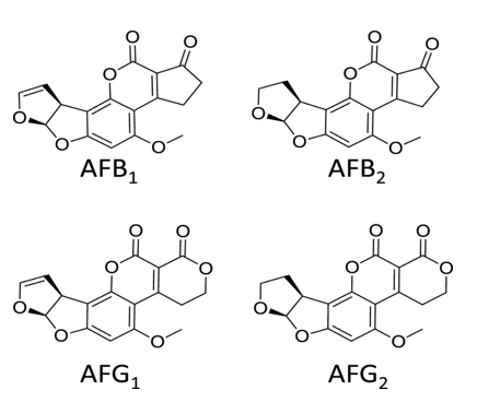 Several chemical structures with words  AI-generated content may be incorrect.