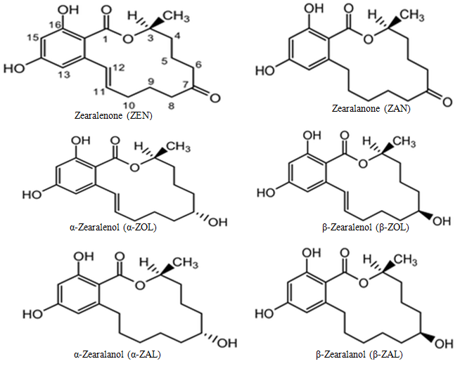 A group of chemical formulas  AI-generated content may be incorrect.