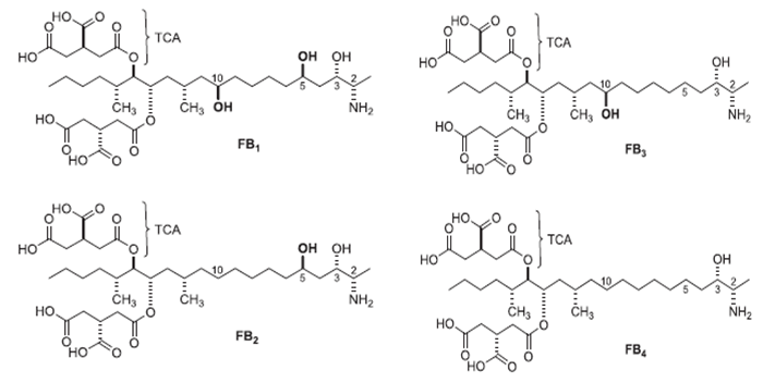 A group of chemical formulas  AI-generated content may be incorrect.