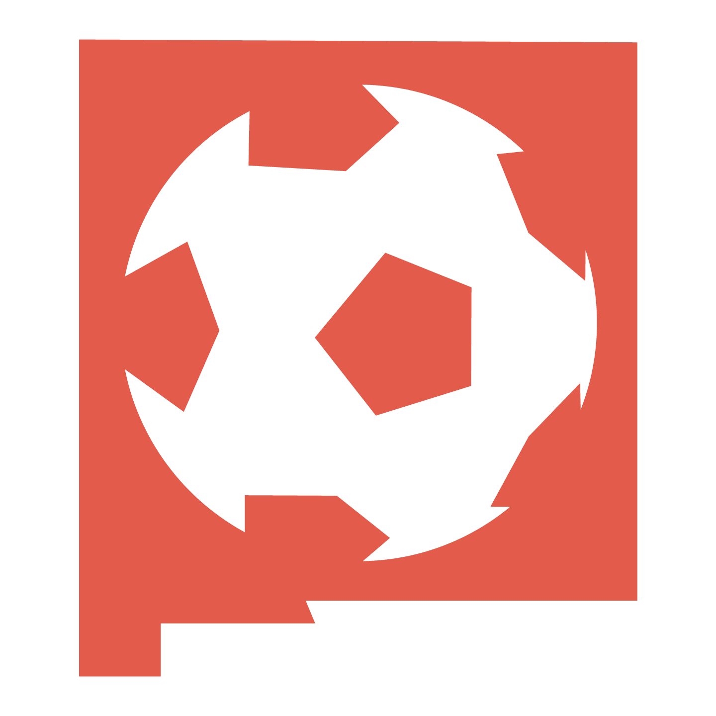 New Mexico Soccer Foundation logo