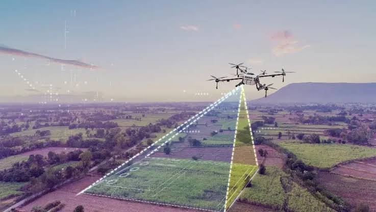 Drone Survey