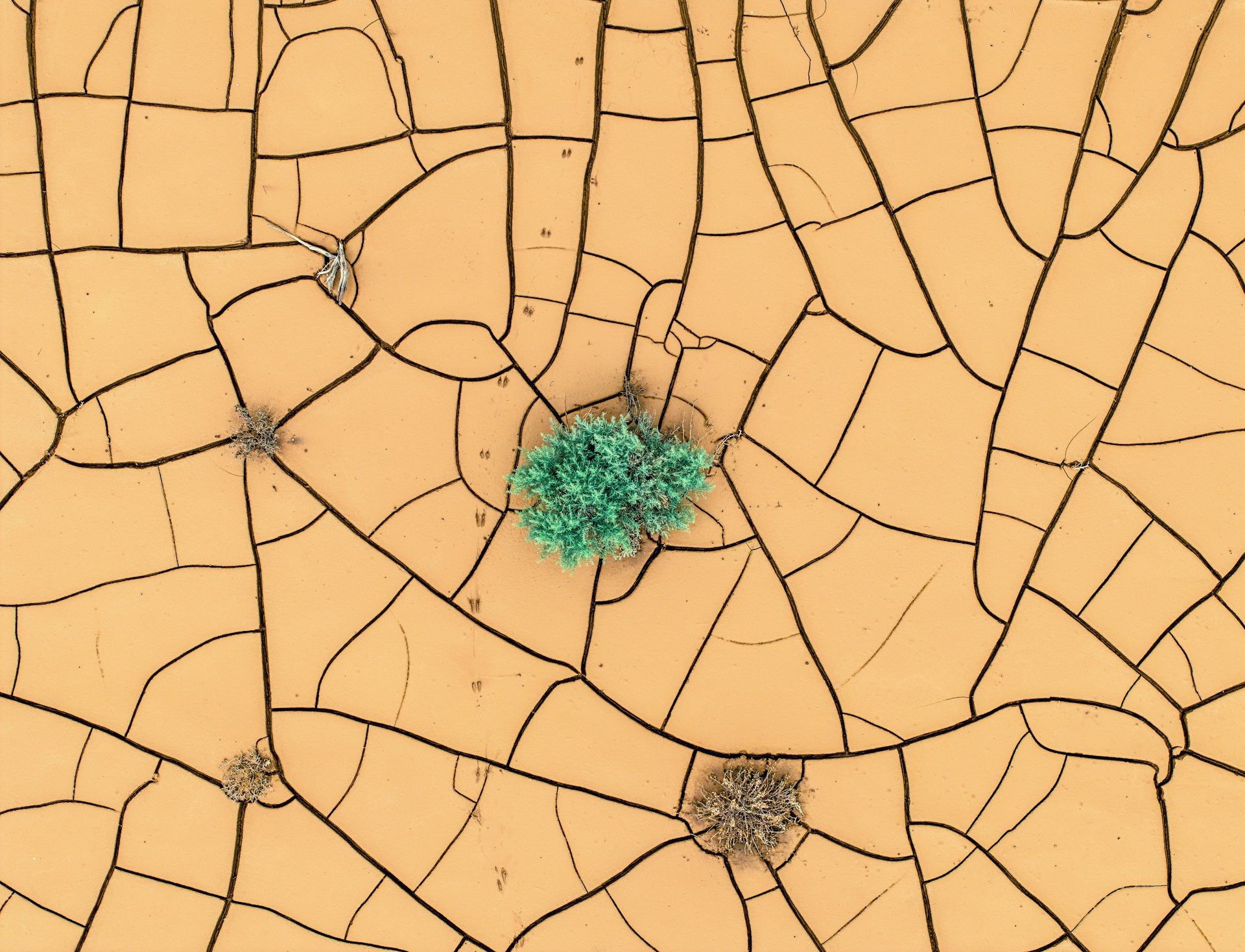 Geospatial Database Development