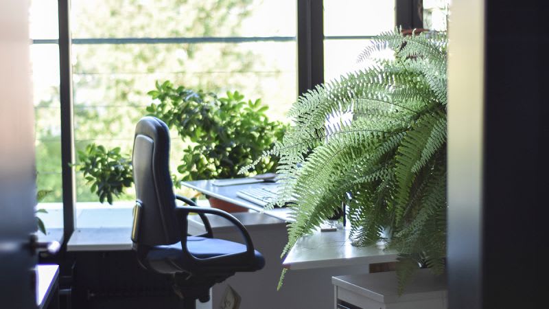 Workspace without active leadership illustrating technology requires human direction