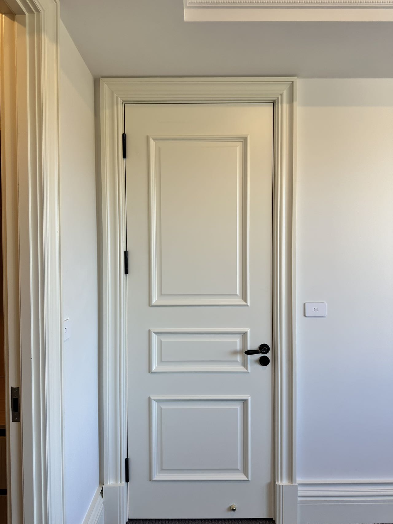 Internal Door Raised Moulding