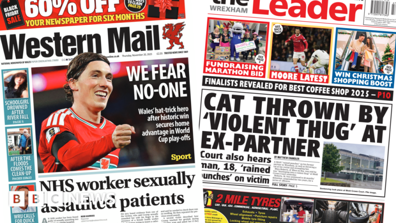 Wales' papers: Cat thrown by 'violent thug' at ex-partner