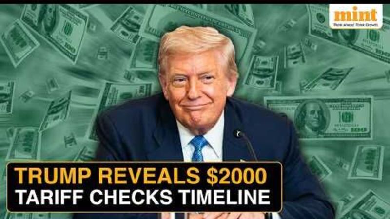 Stock market today: Nifty 50 trade setup, Wall Street rally, Fed rate cut bets to gold prices - 8 stocks to buy