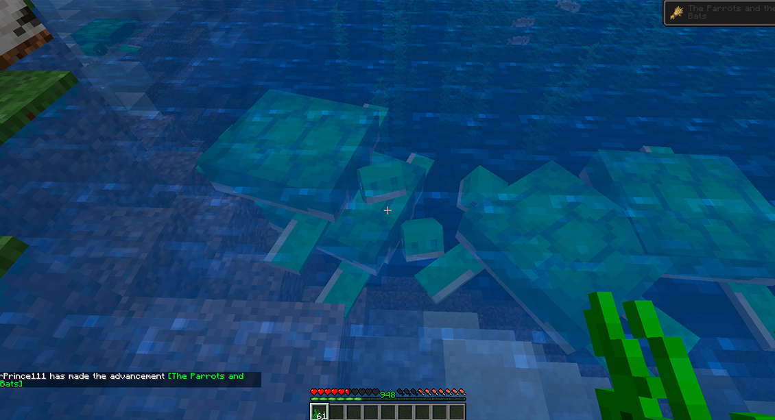 Minecraft seagrass