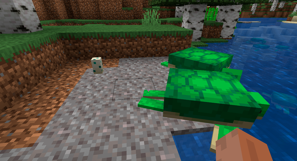 Minecraft turtle eggs