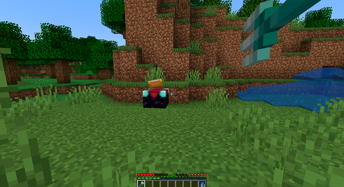 Minecraft Impaling