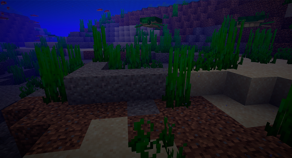 Minecraft seagrass