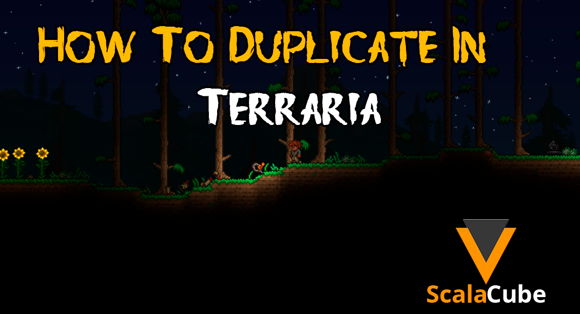 How to Duplicate in Terraria