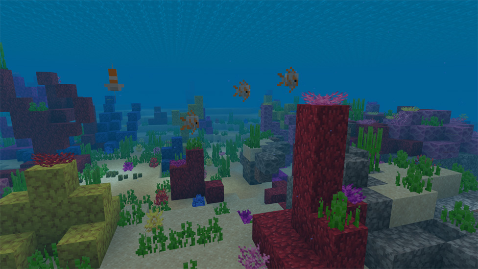 Coral Reef