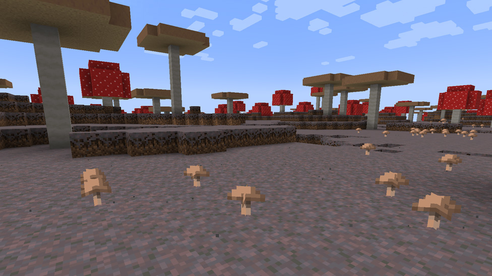 Mushroom Field
