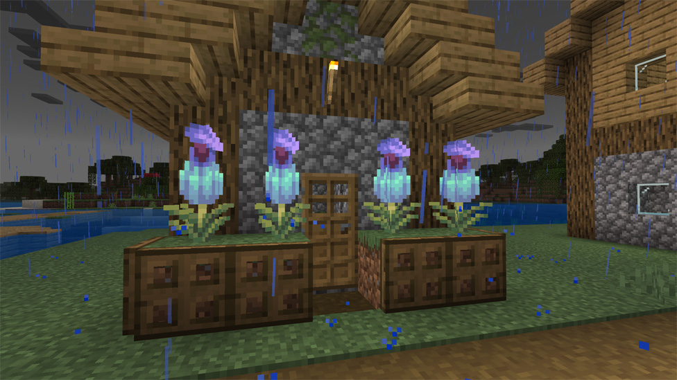 Pitcher Plants Decorations