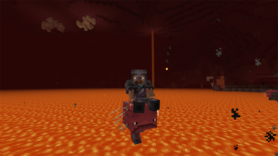 Riding a Strider in the Nether
