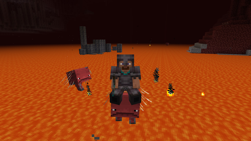 Riding a Strider in the Nether