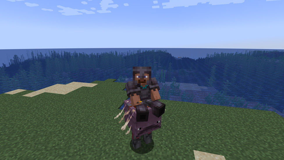 Riding a Strider in the Overworld