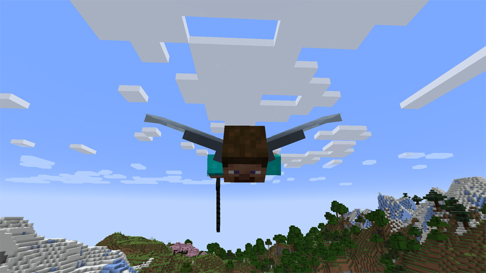 Elytra Flight
