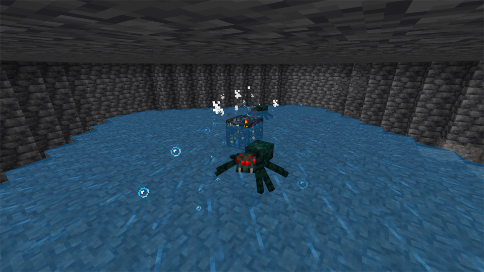 Spider Spawner XP Farm