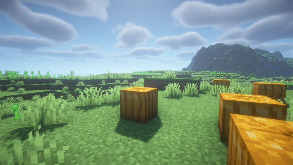 BSL Shaders under Iris & Sodium