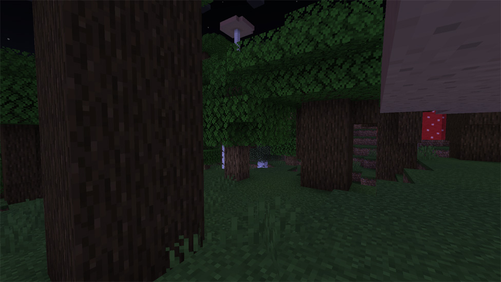 Dark Forest (by the way, Herobrine is behind you)
