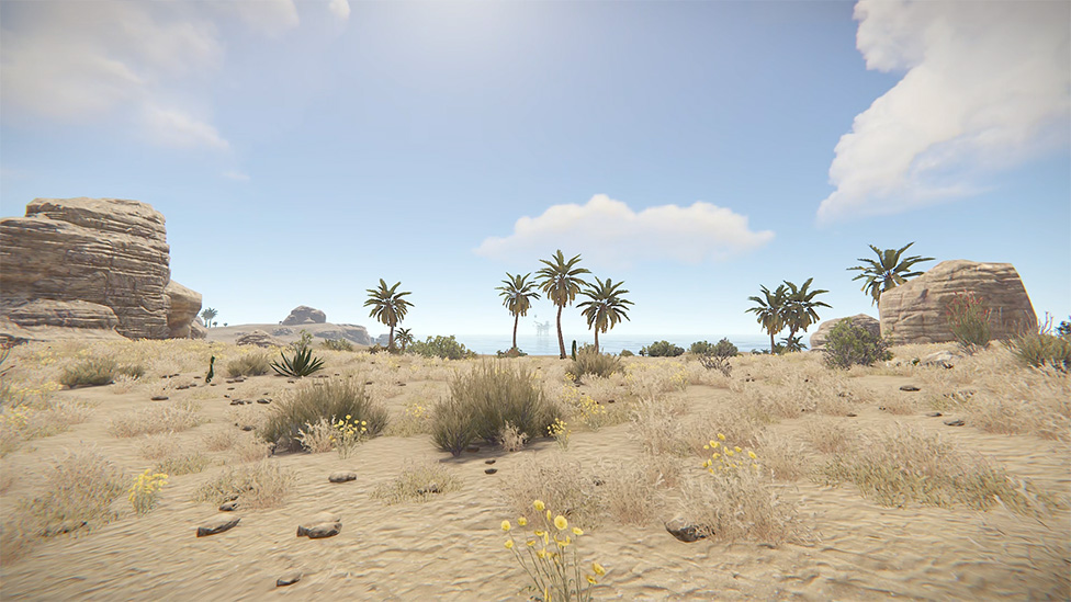 The Desert Biome