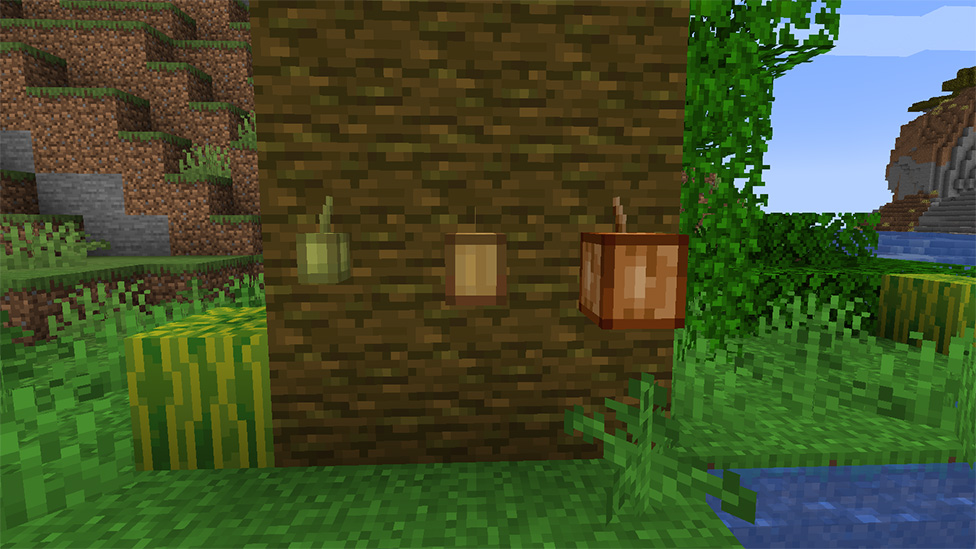 Cultivating Sweetness A Guide on How to Plant Cocoa Beans in Minecraft Scalacube