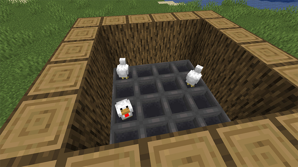 Simple Chicken Egg Farm