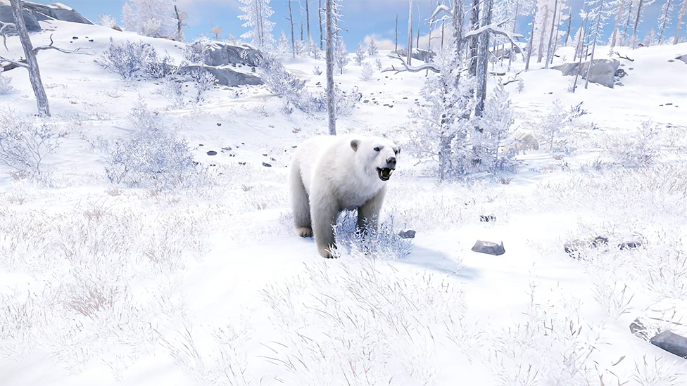 Polar Bear
