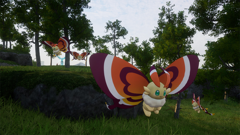 Cinnamoth in Natural Habitat