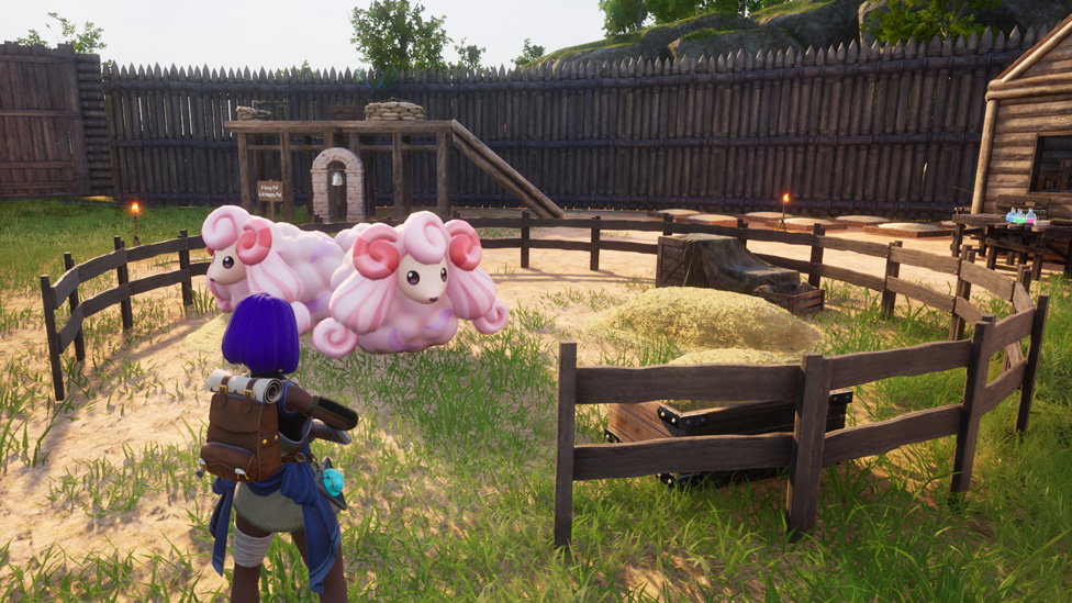 Woolipops on a Ranch