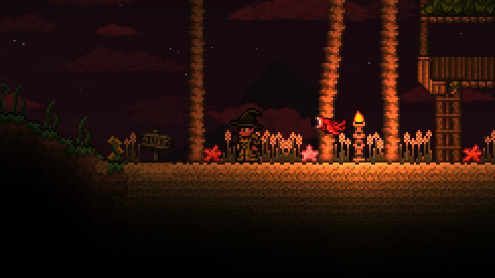  The Wandering Eye Fish