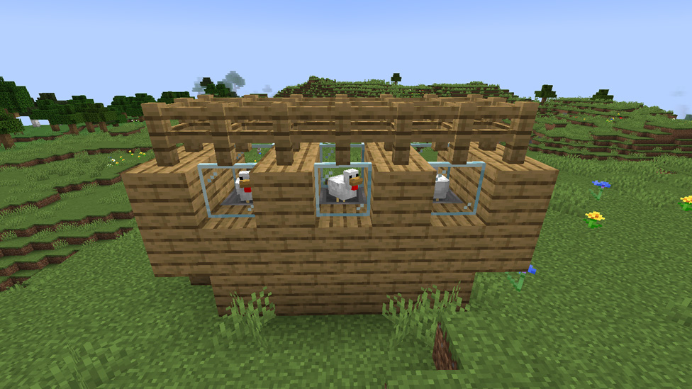 The Chicken Coop