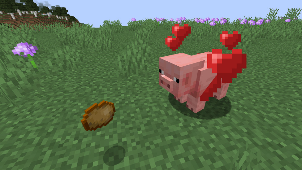 Taming a Pig