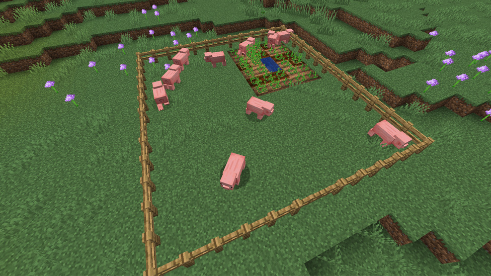 Pig Farm