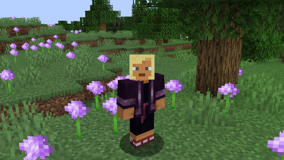 Minecraft Skin