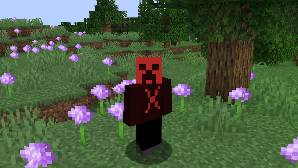 Minecraft Skin