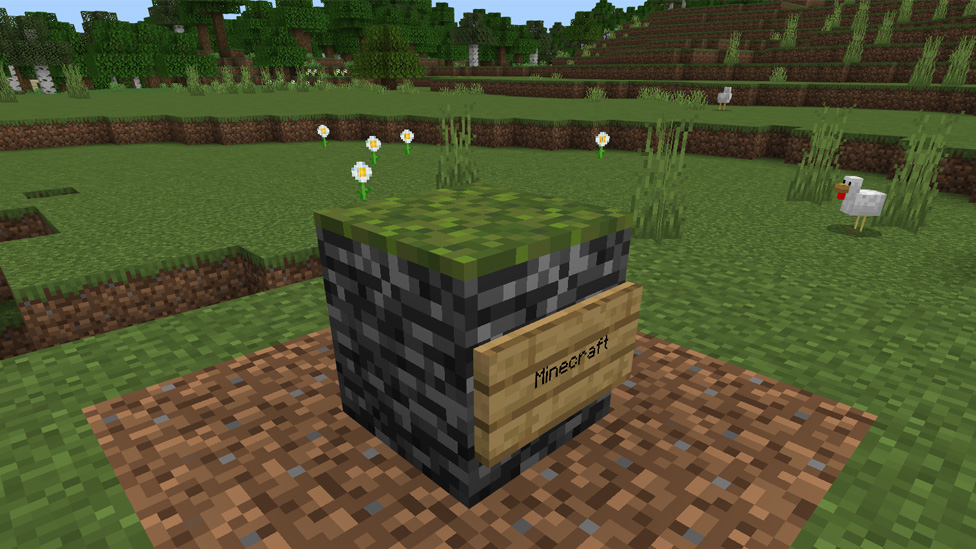 Minecraft: Bedrock Edition