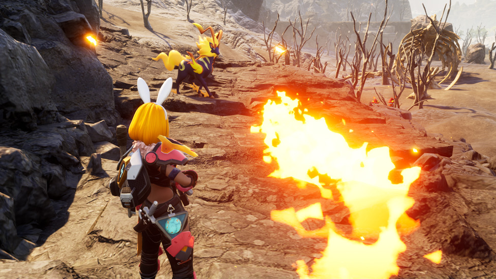 Fighting Wild Pyrins