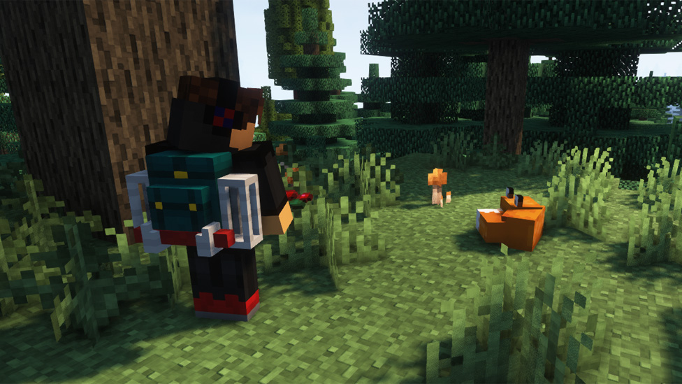 Traveller's Backpack