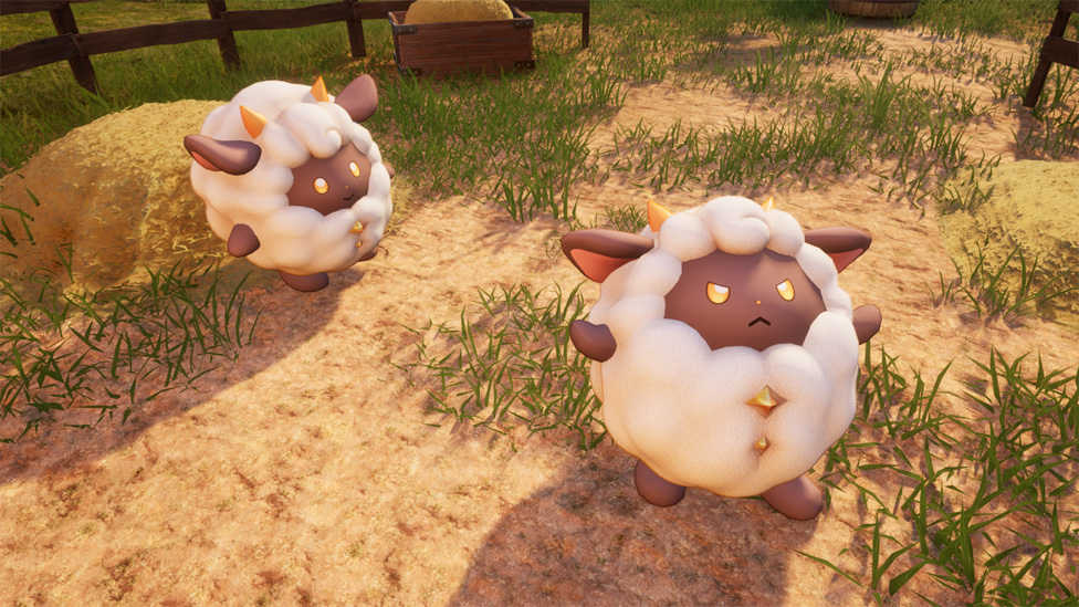 Lamballs at the Ranch