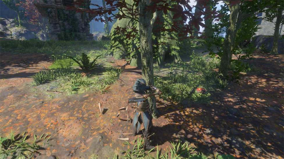 Chopping Down a Tree