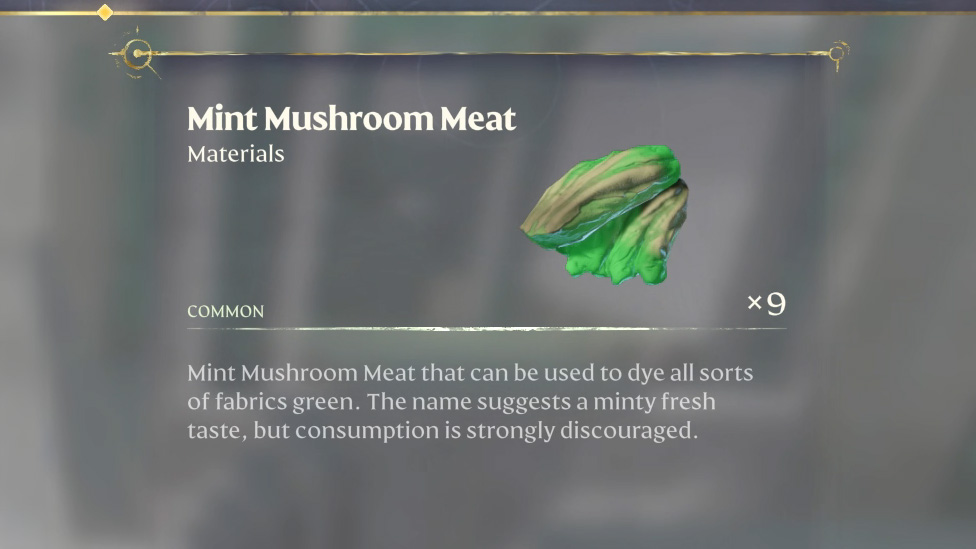 Mint Mushroom Meat