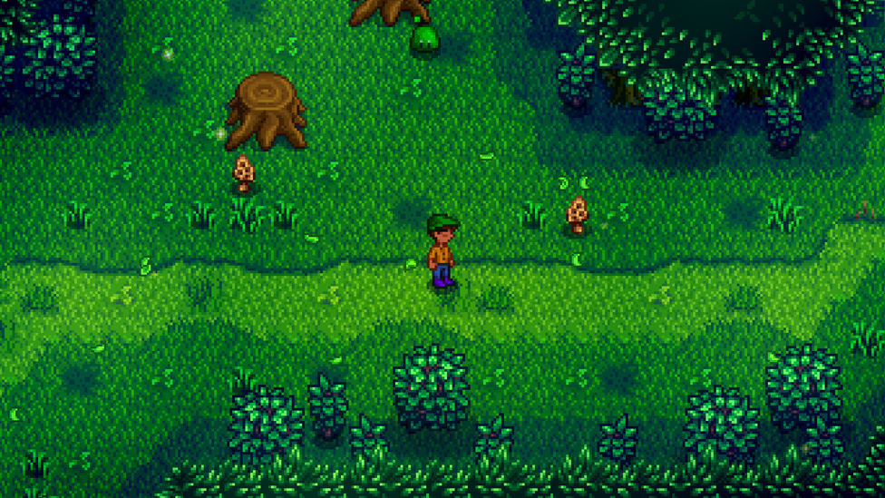 Morels in the Secret Woods