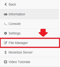 File Manager