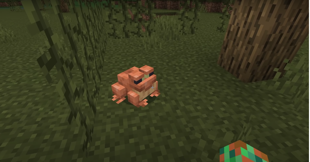 Description of the image